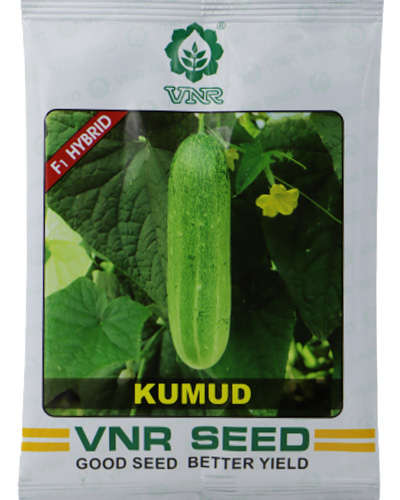 VNR Hybrid Cucumber Kumud Seeds - BharatAgri Krushidukan_3