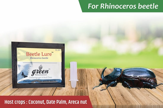 Green Revolution Rhinoceros beetle Pheromone Lure - Krushidukan_1