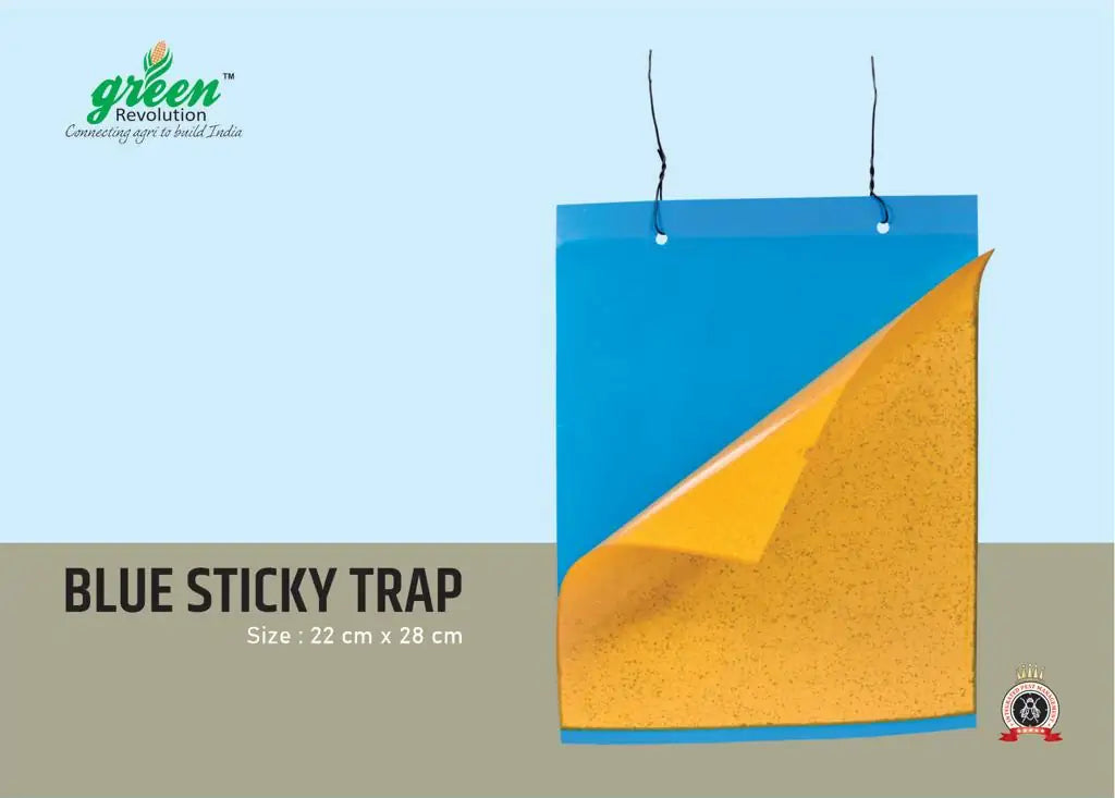 Green Revolution Yellow Sticky Trap + Blue Sticky Trap (22x28 Cm)2