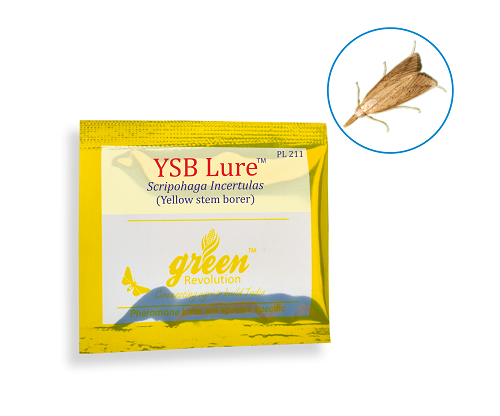 YSB Lure (Scirpophaga Incertulas Pheromone Lure) - Krushidukan_1
