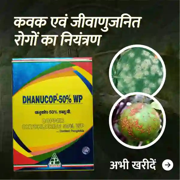 Dhanuka Dhanucop Copper Oxychloride 50% WP - BharatAgri Krushidukan_1