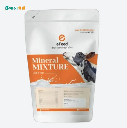 e Feed Mineral Mixture Xtra Power | BharatAgri Krushidukan