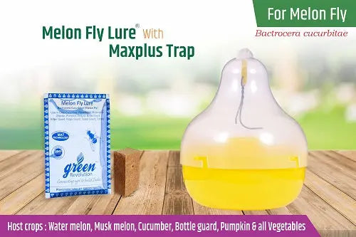 Green Revolution Maxplus Trap Melon Fly Lure Combo - Krushidukan_1
