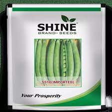 Pea - SS10 (Imported) shine brand seeds - BharatAgri Krushidukan_1