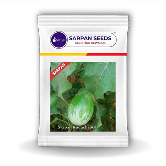 Sarpan Kudachi 501 Hybrid Brinjal Seeds - BharatAgri Krushidukan_1